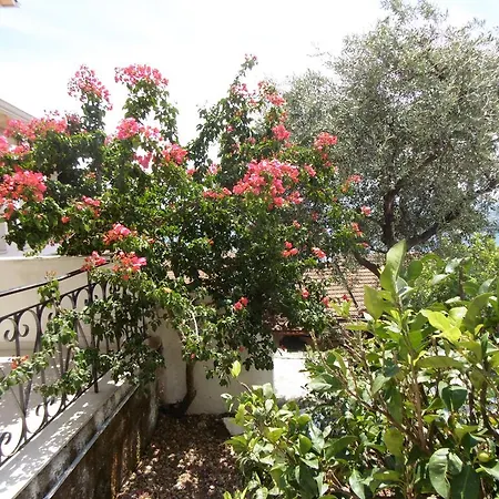 Elli Panoramic View Appartments Διαμέρισμα Ύψος